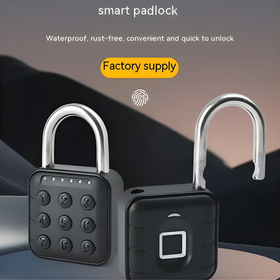 Fingerprint Lock Padlock Household Waterproof Password Cabinet Anti-theft Door Lock APP